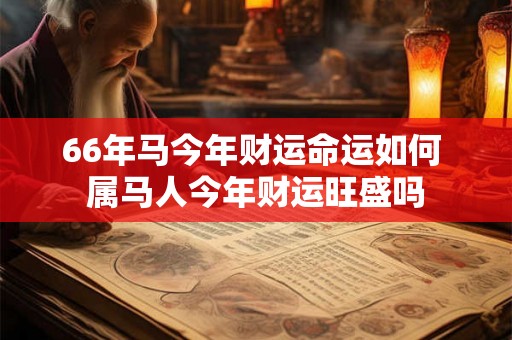 66年马今年财运命运如何 属马人今年财运旺盛吗