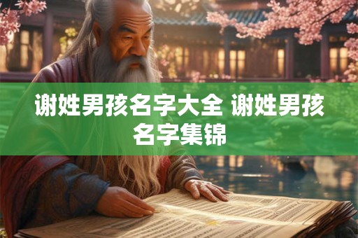 谢姓男孩名字大全 谢姓男孩名字集锦