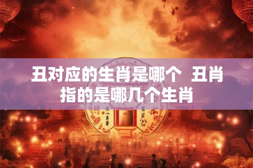 丑对应的生肖是哪个  丑肖指的是哪几个生肖