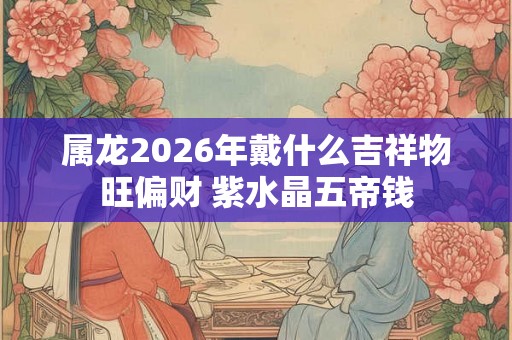 属龙2026年戴什么吉祥物旺偏财 紫水晶五帝钱