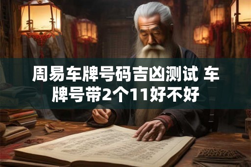 周易车牌号码吉凶测试 车牌号带2个11好不好