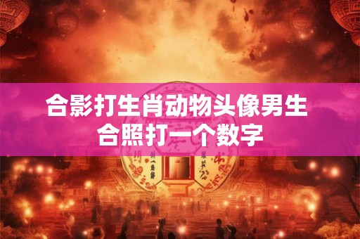 合影打生肖动物头像男生 合照打一个数字