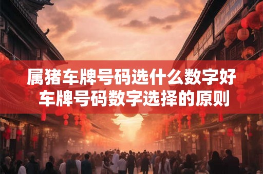 属猪车牌号码选什么数字好 车牌号码数字选择的原则