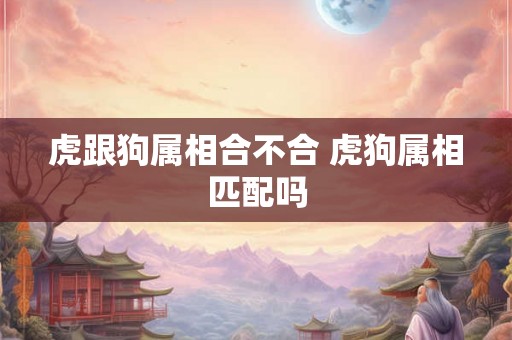 虎跟狗属相合不合 虎狗属相匹配吗