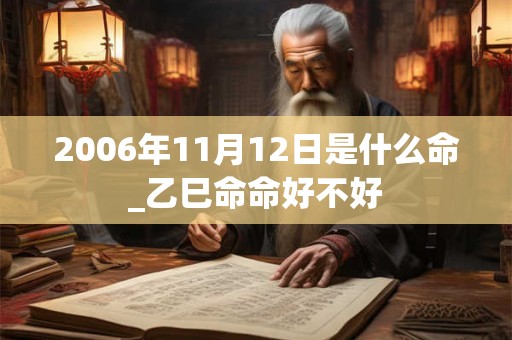2006年11月12日是什么命_乙巳命命好不好