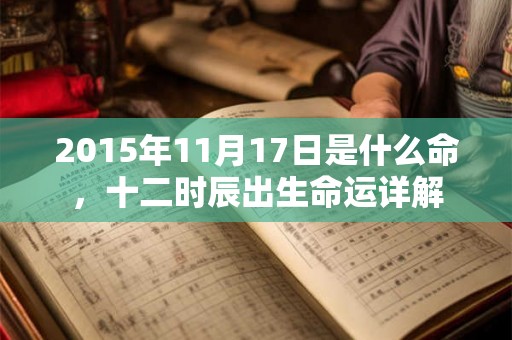 2015年11月17日是什么命，十二时辰出生命运详解