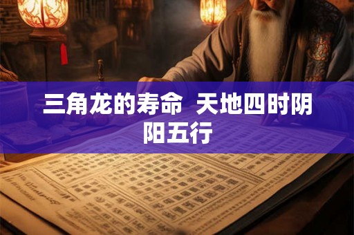 三角龙的寿命 天地四时阴阳五行 三角龙的寿命 天地四时阴阳五行