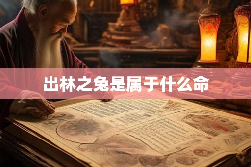 出林之兔是属于什么命