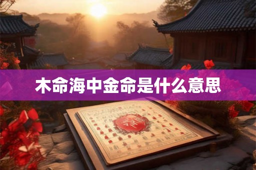 木命海中金命是什么意思