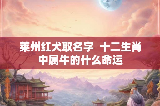 莱州红犬取名字  十二生肖中属牛的什么命运