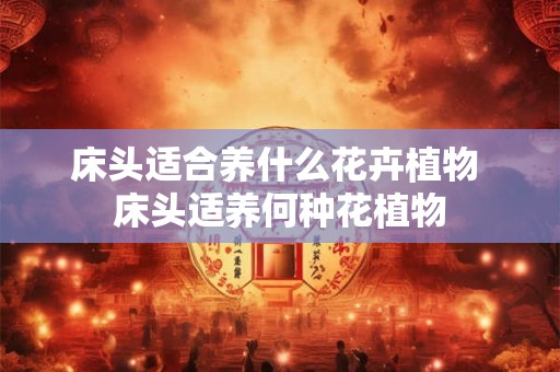 床头适合养什么花卉植物 床头适养何种花植物 床头适合养什么花卉植物 床头适养何种花植物