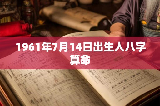 1961年7月14日出生人八字算命