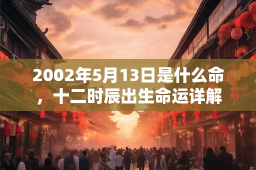 2002年5月13日是什么命，十二时辰出生命运详解