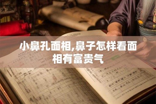 小鼻孔面相,鼻子怎样看面相有富贵气