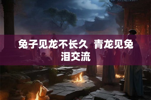 兔子见龙不长久  青龙见兔泪交流