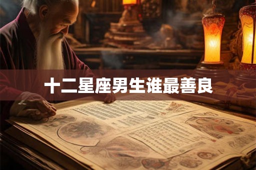 十二星座男生谁最善良