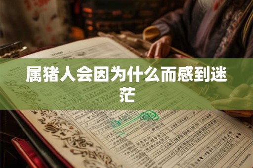 属猪人会因为什么而感到迷茫