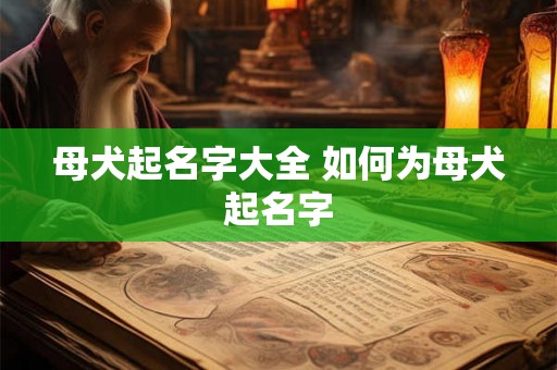 母犬起名字大全 如何为母犬起名字