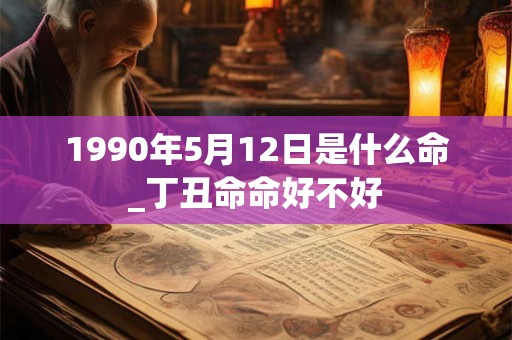 1990年5月12日是什么命_丁丑命命好不好