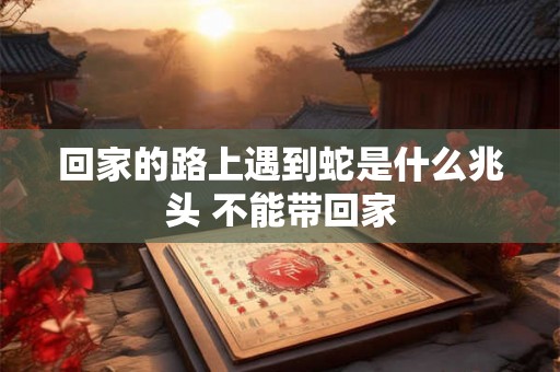 回家的路上遇到蛇是什么兆头 不能带回家