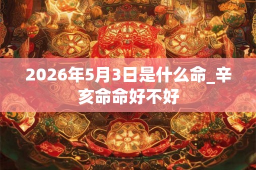 2026年5月3日是什么命_辛亥命命好不好