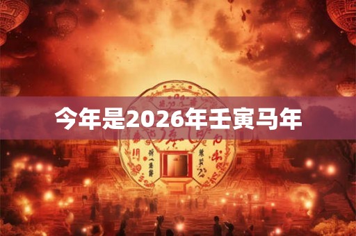 今年是2026年壬寅马年