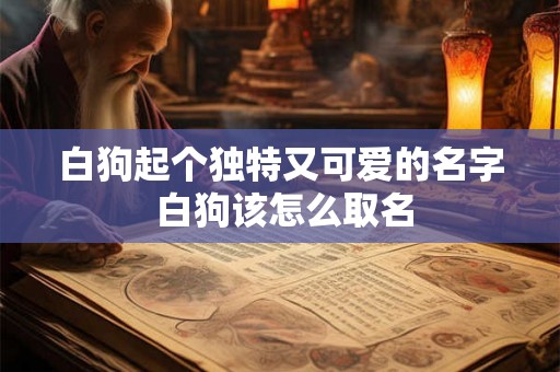 白狗起个独特又可爱的名字 白狗该怎么取名