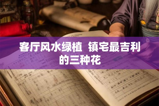 客厅风水绿植  镇宅最吉利的三种花