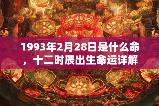 1993年2月28日是什么命，十二时辰出生命运详解