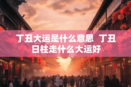 丁丑大运是什么意思  丁丑日柱走什么大运好