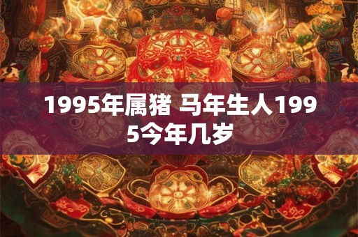 1995年属猪 马年生人1995今年几岁