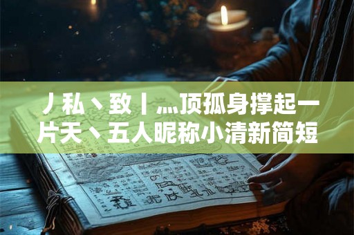 丿私丶致丨灬顶孤身撑起一片天丶五人昵称小清新简短