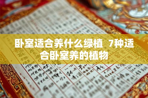 卧室适合养什么绿植  7种适合卧室养的植物