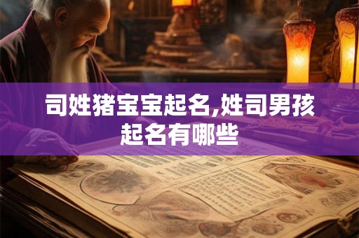 司姓猪宝宝起名,姓司男孩起名有哪些