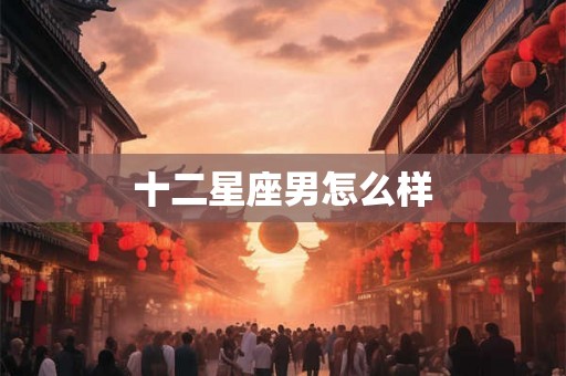 十二星座男怎么样