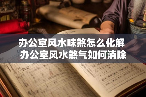 办公室风水味煞怎么化解 办公室风水煞气如何消除