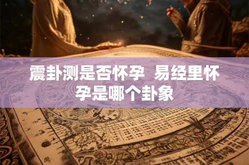 震卦测是否怀孕 易经里怀孕是哪个卦象 震卦测是否怀孕 易经里怀孕是哪个卦象