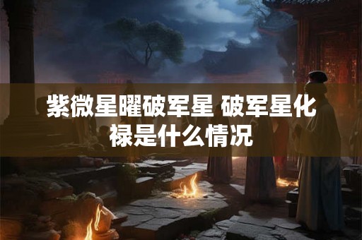 紫微星曜破军星 破军星化禄是什么情况