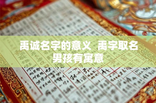 禹诚名字的意义  禹字取名男孩有寓意