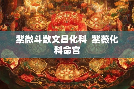紫微斗数文昌化科  紫薇化科命宫