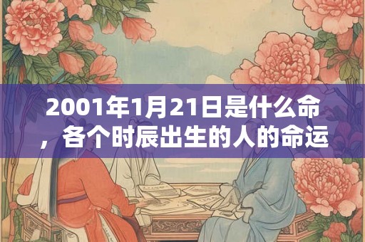 2001年1月21日是什么命，各个时辰出生的人的命运