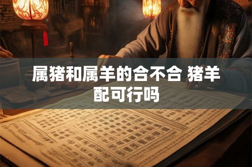 属猪和属羊的合不合 猪羊配可行吗