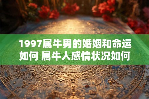 1997属牛男的婚姻和命运如何 属牛人感情状况如何