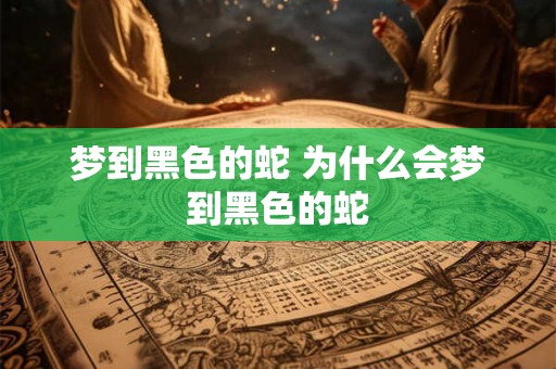 梦到黑色的蛇 为什么会梦到黑色的蛇