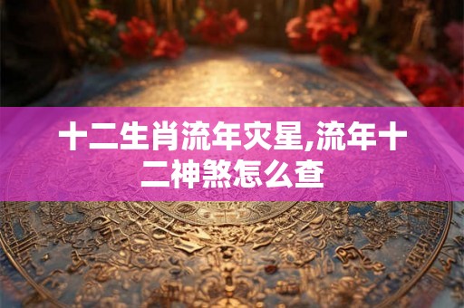 十二生肖流年灾星,流年十二神煞怎么查