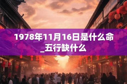 1978年11月16日是什么命_五行缺什么