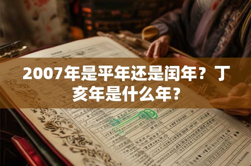 2007年是平年还是闰年？丁亥年是什么年？
