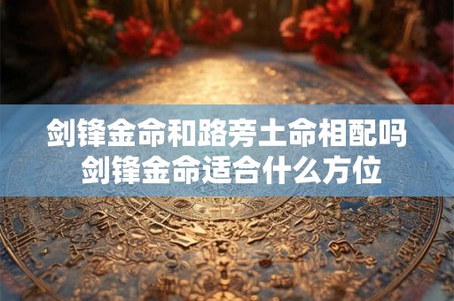 剑锋金命和路旁土命相配吗 剑锋金命适合什么方位