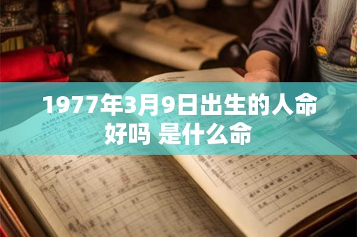1977年3月9日出生的人命好吗 是什么命