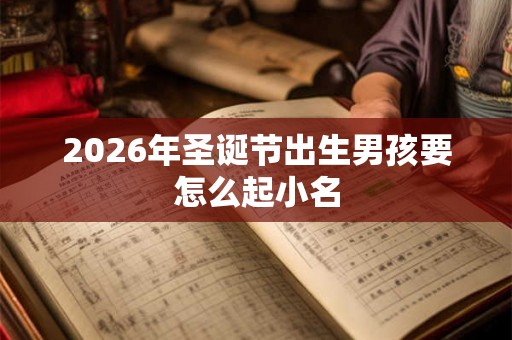 2026年圣诞节出生男孩要怎么起小名